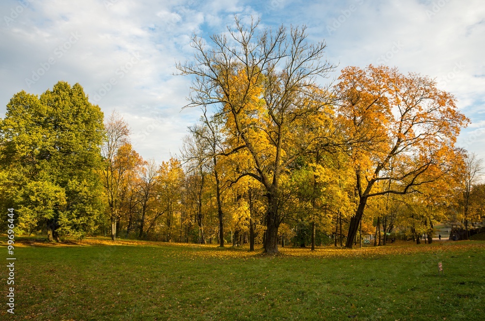 Naklejka premium Silver Meadow in the Gatchina рark