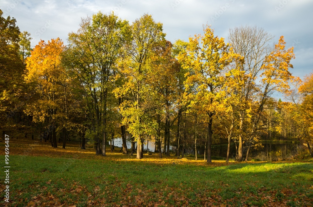 Silver Meadow in the Gatchina рark Silver Meadow in the Gatchina рark