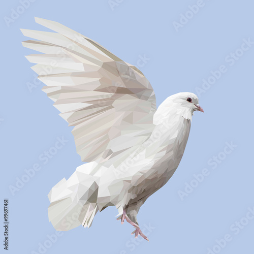 White Pigeon bird animal low poly design. Triangle vector illustration.