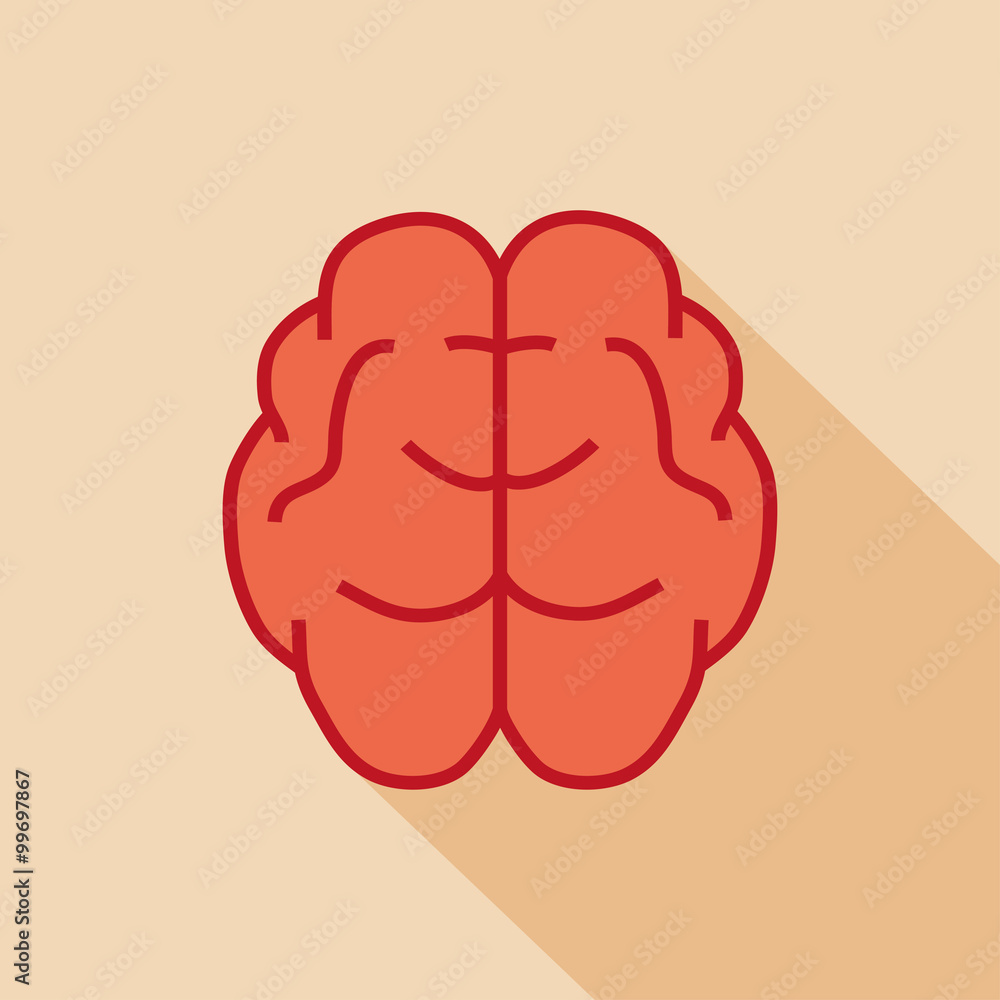 Human brain. Medical icon with long shadow. Health care Human brain. Medical icon with long shadow. Health care