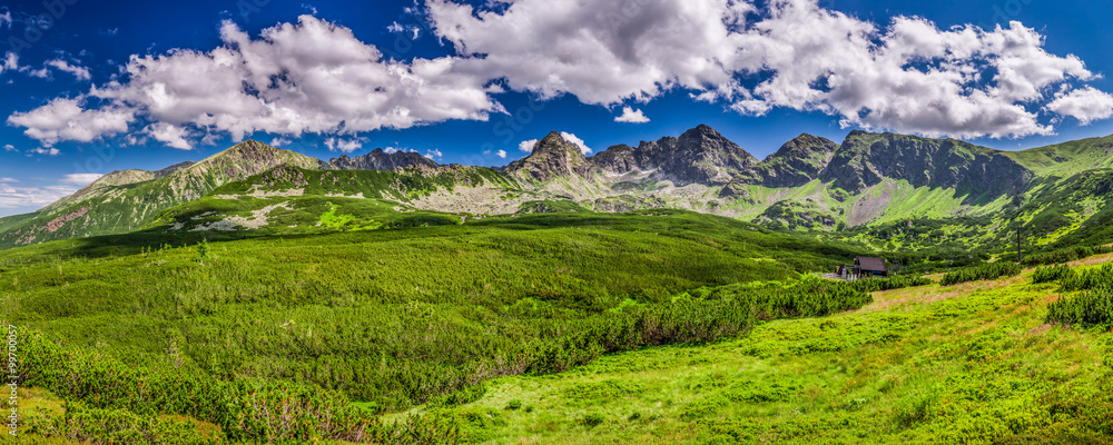 Panorama of the Tatras from a mountain trail - obrazy, fototapety, plakaty 