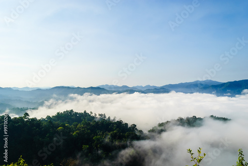 Morning mist at Khao Panoen Thung on Kaeng Krachan National Park