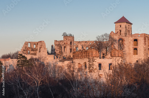 Ruins of medieval castle Teczyn in Rudno, Poland, in the evening photo