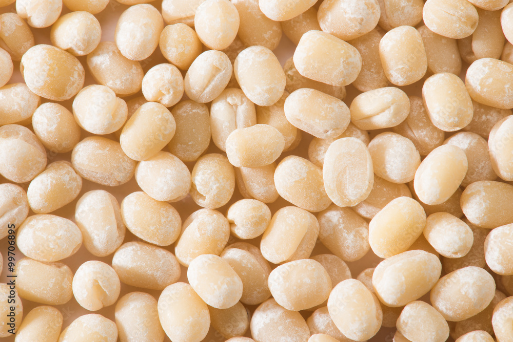 black gram whole bean without cover black gram whole bean without cover