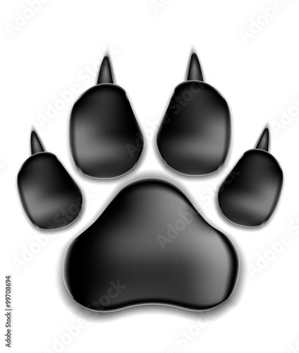  vector illustration. black pads of a cat with claws. traces of