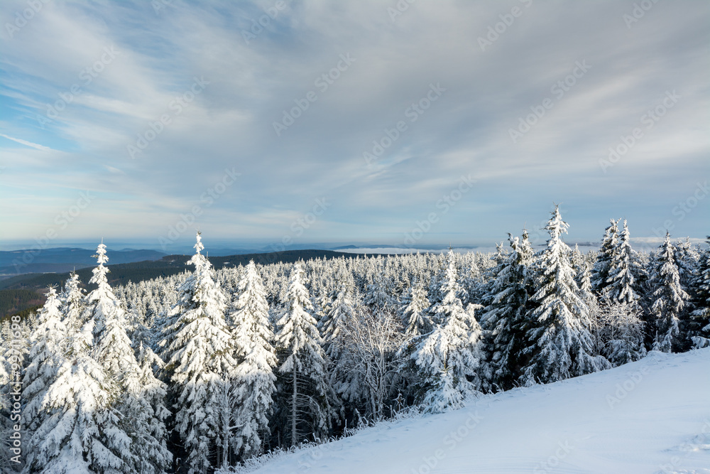 Thüringer Wald - Schneekopf