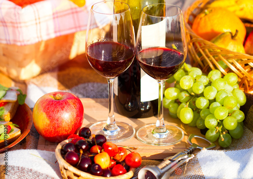 Two glasses of the red wine, picnic theme.