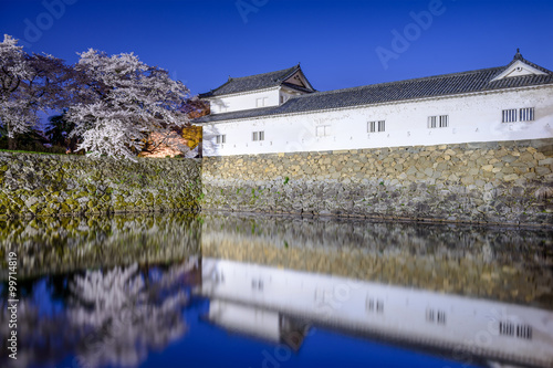 Hikone Castle Moat photo