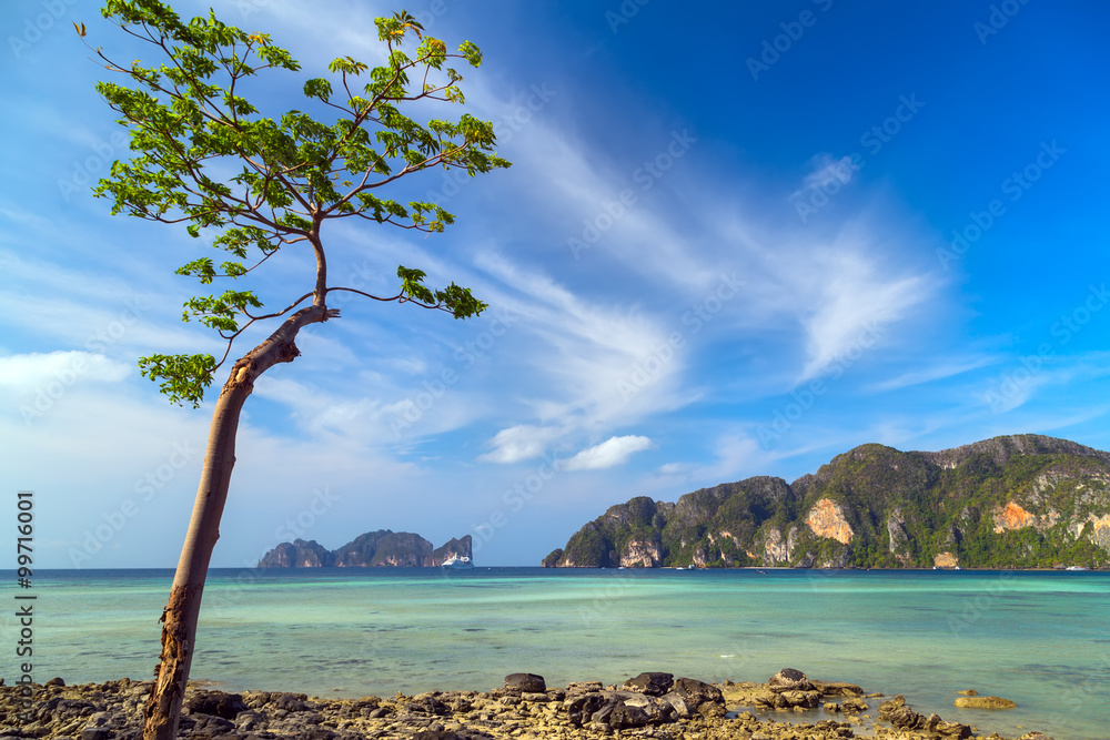Beach in Krabi province, Thailand