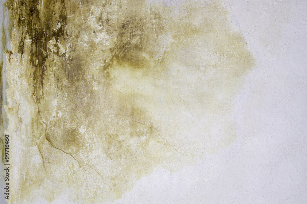 Naklejka premium Old grunge wall texture
