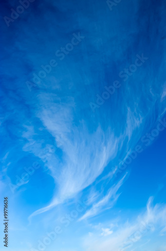 white clouds the wind blows across the blue sky