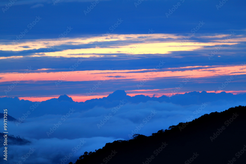 Obraz premium Cameron Highland, Malaysia..