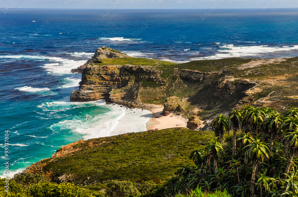 Fototapeta premium Cape of Good Hope – Südafrika