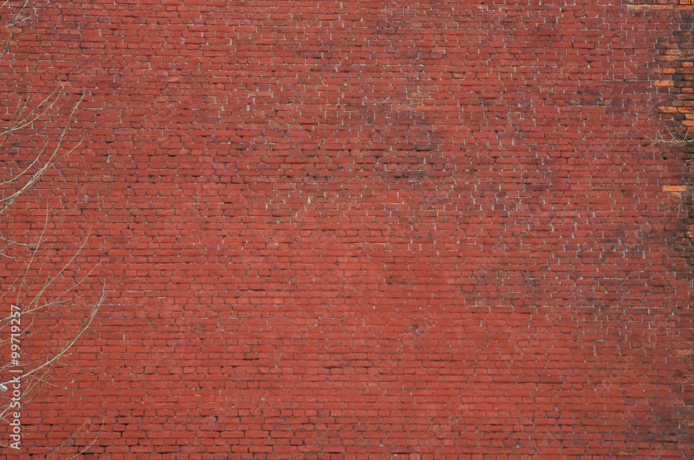 Fototapeta premium Czerwony mur z cegły. Tekstura