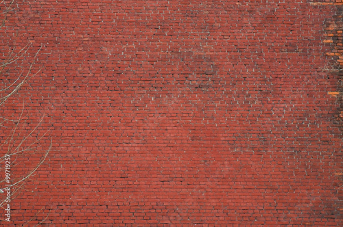 The red brick wall. Texture