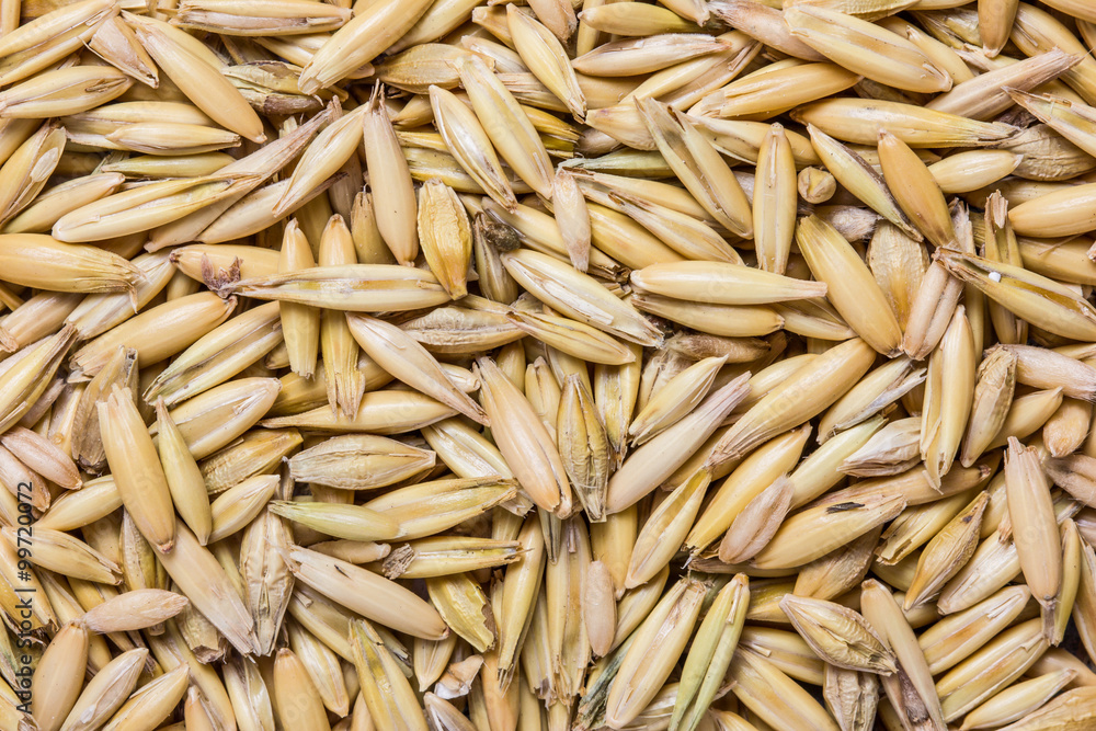 Oat seeds texture. Oat seeds texture.