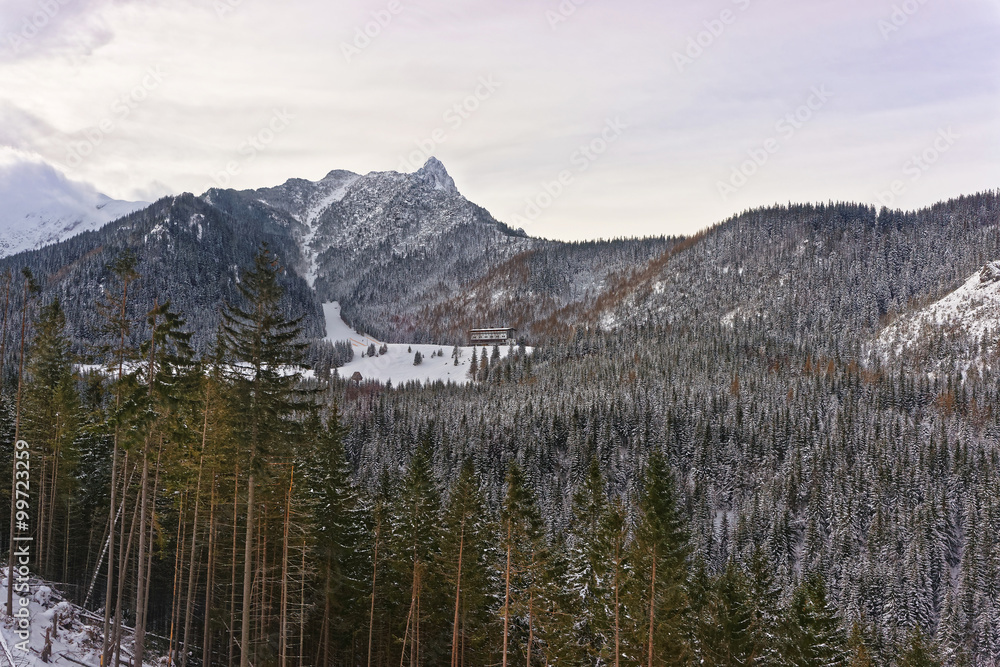 House in the Forest in Kasprowy Wierch of Zakopane in Tatras in winter House in the Forest in Kasprowy Wierch of Zakopane in Tatras in winter