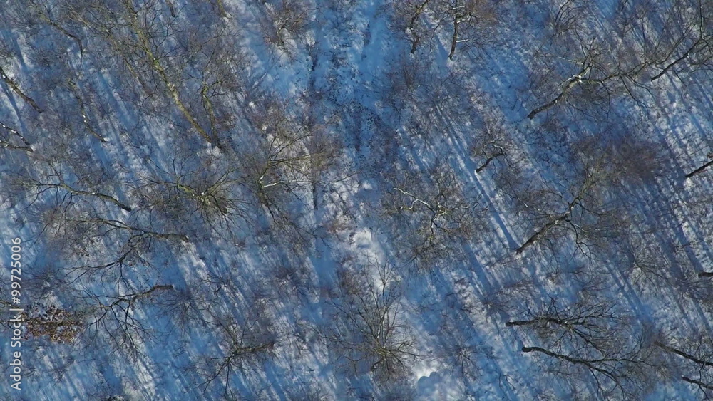 AERIAL, Flying over Winter forest in the mountain AERIAL, Flying over Winter forest in the mountain