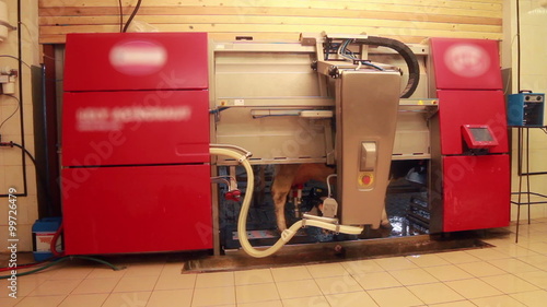 Modern milk machine for milking