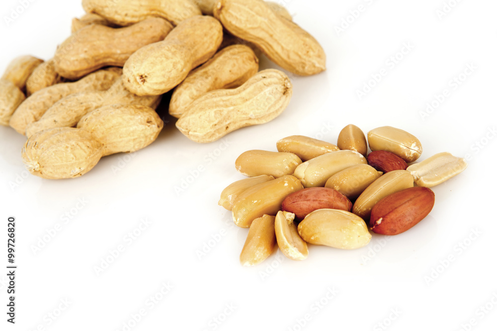 peanuts on a white background with shell peanuts on a white background with shell