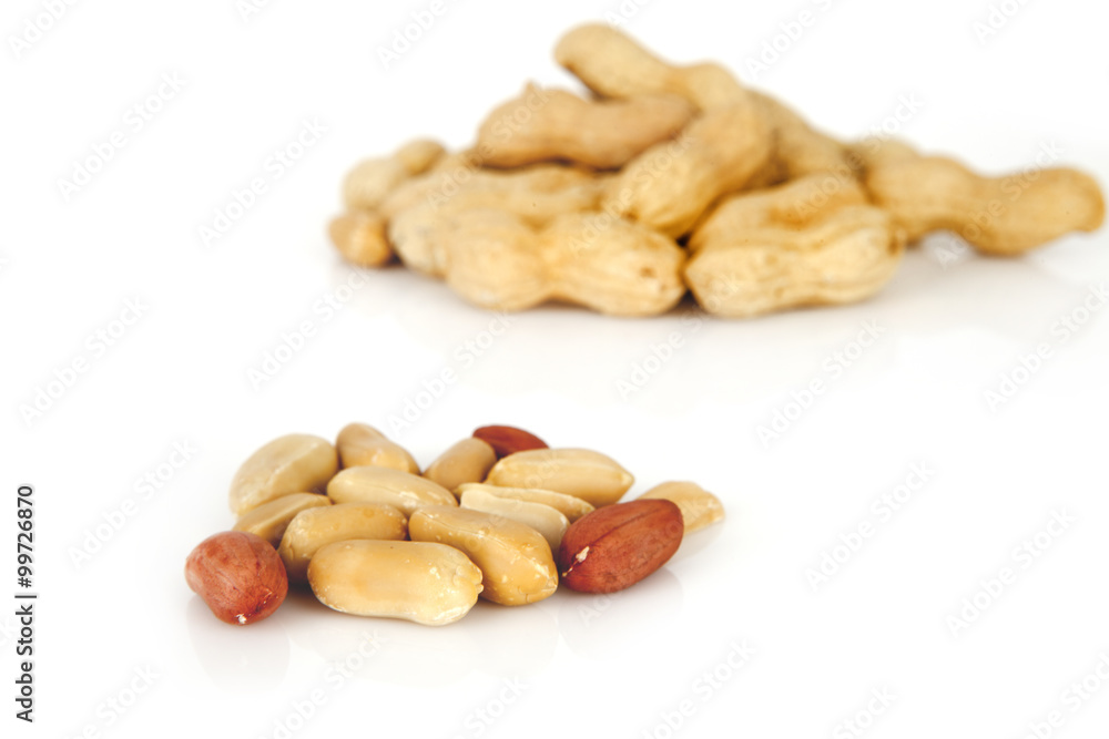 peanuts on a white background with shell peanuts on a white background with shell