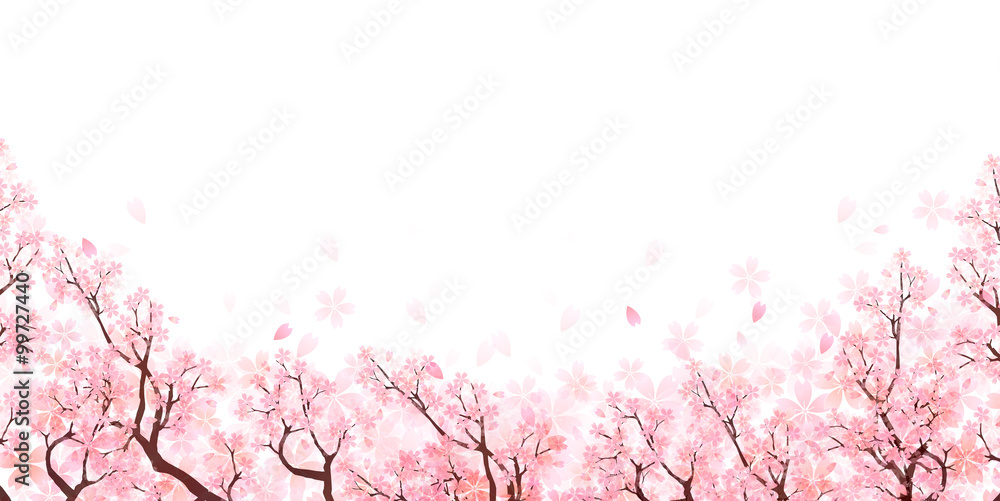Fototapeta premium Tło wiosna kwiat wiśni