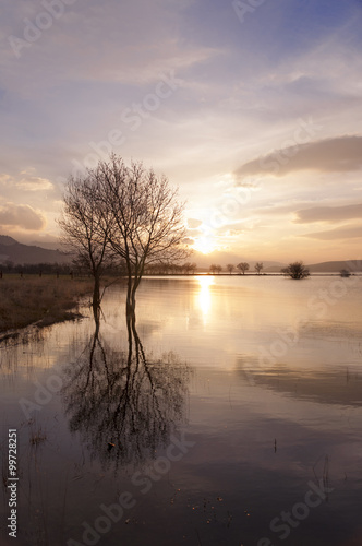 Reflection of trees on the lake at sunset - Vertical © carlosobriganti