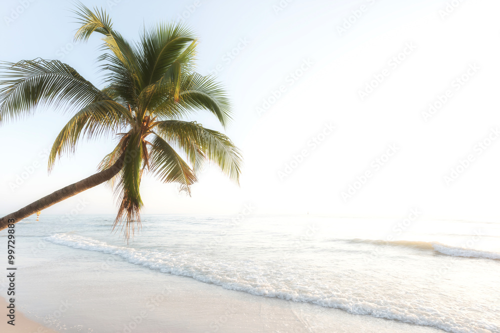 Coconut palm tree with sunrise at Hua Hin Beach,Thailand Coconut palm tree with sunrise at Hua Hin Beach,Thailand