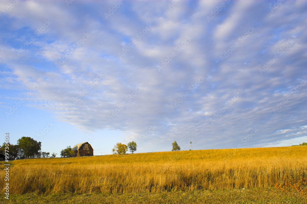 Fototapeta premium Hillside Farm