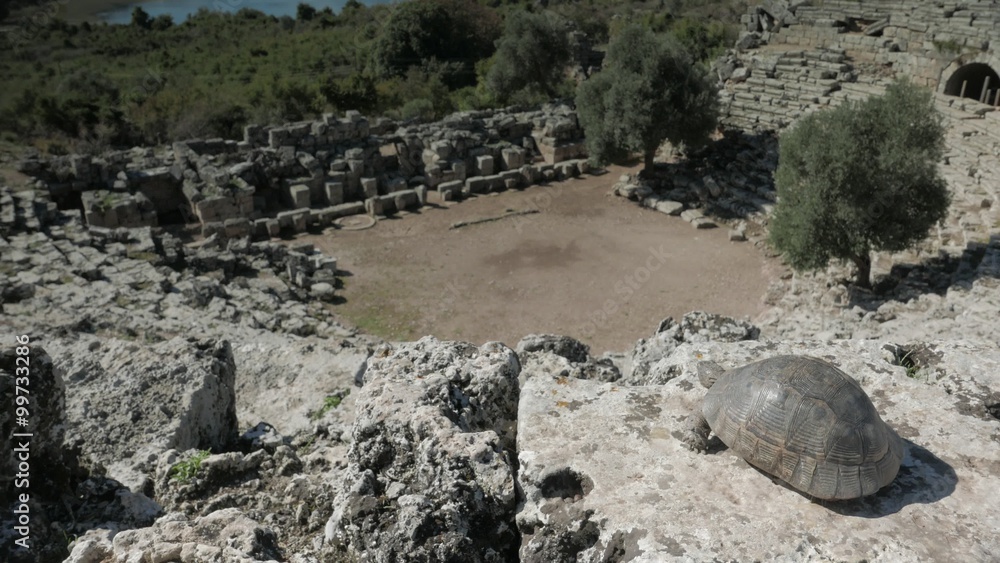 View from the top of roman amphitheater looking down towards stage with turtle, ancient city of Caunos, Turkey. 4k View from the top of roman amphitheater looking down towards stage with turtle, ancient city of Caunos, Turkey. 4k