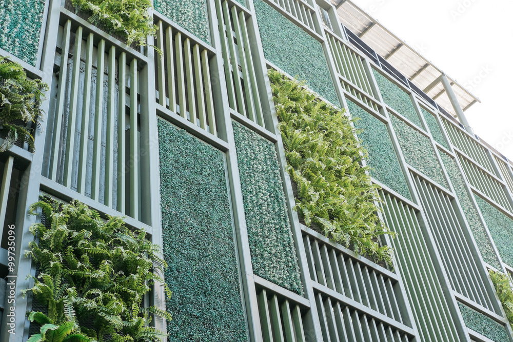 Green facade, vertical garden in architecture Stock Photo Adobe Stock