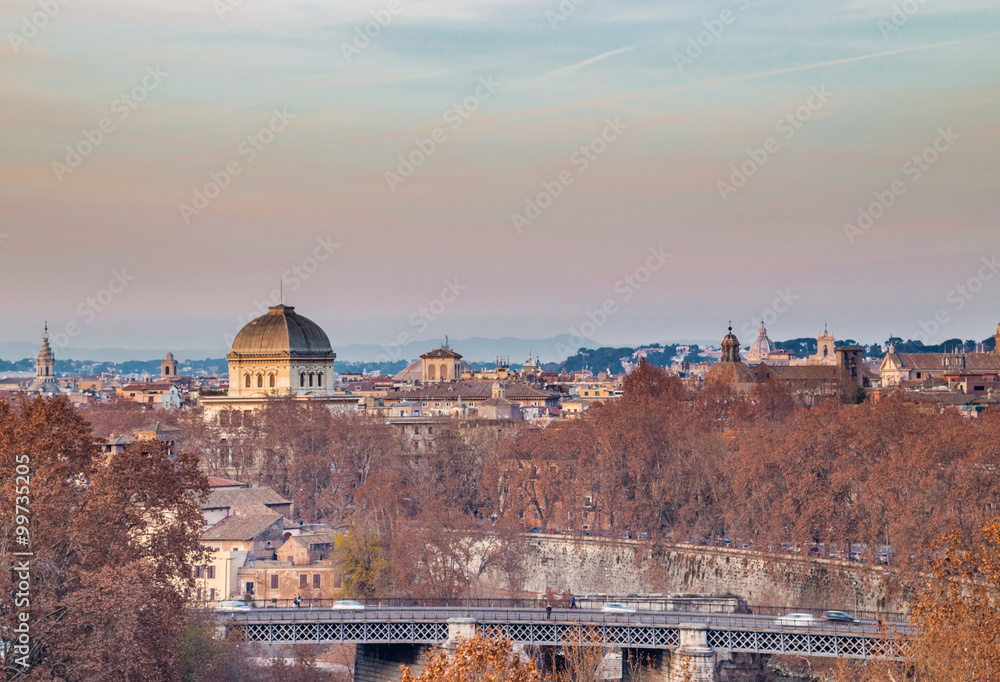 Fototapeta premium cityscape of Rome