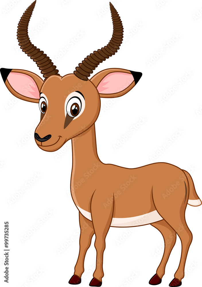 Cartoon funny impala isolated on white background Cartoon funny impala isolated on white background