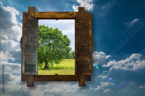 Big tree by looking through woonden window on blue sky photo