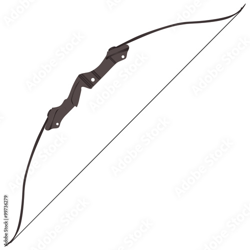 Professional bow for hunting and sports