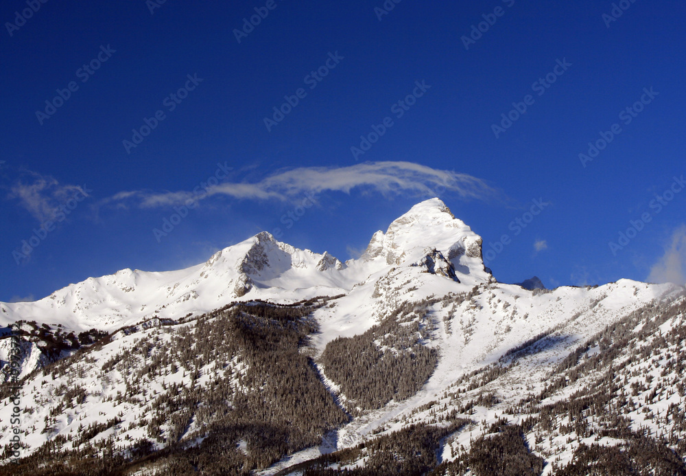 Fototapeta premium Buck Mountain in the Grand Teton Mountain Range in the Central Rocky Mountains of Wyoming USA