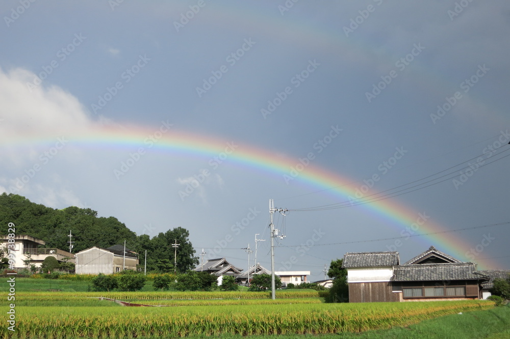 Fototapeta premium 二重虹1