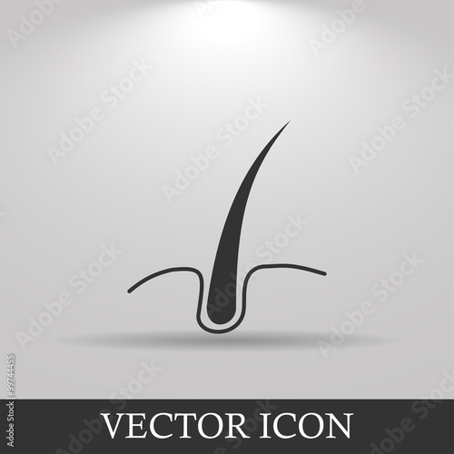 hair  icon. Flat