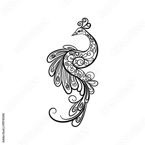 Hand drawn outline  peacock