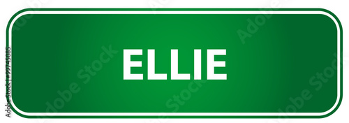 Εκτύπωση καμβά Popular girl name Ellie on a green traffic sign