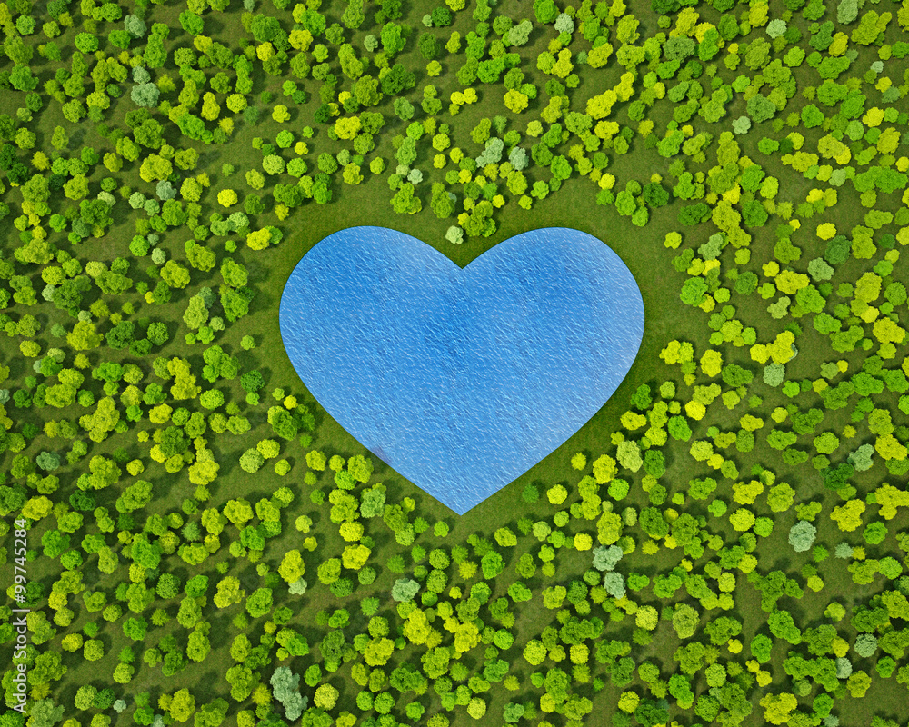 lake heart shape in the forest lake heart shape in the forest
