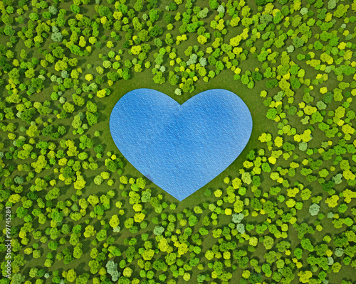 lake heart shape in the forest