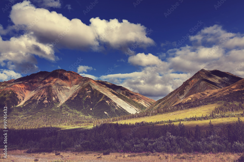 Obraz premium Mountains on Alaska