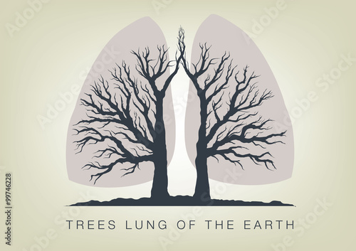Trees - lungs of the planet. ecology in nature