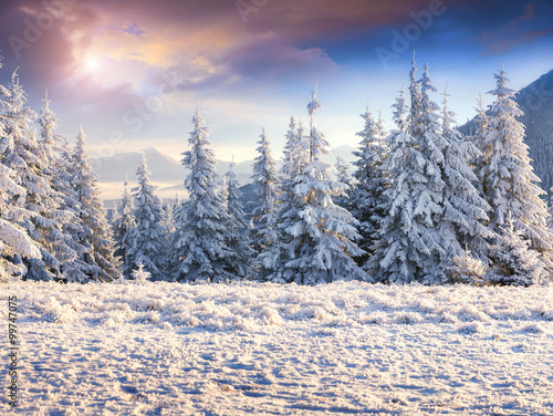 Frosty morning scene in the Carpathians mountains. © Andrew Mayovskyy