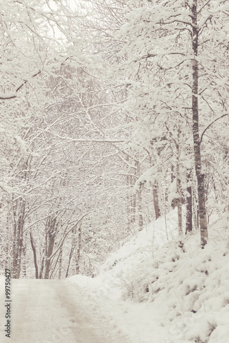 Forest roadcovered in white...