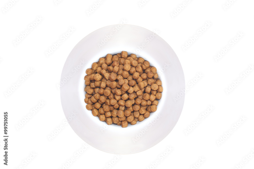 Isolated a white bowl of dog food Isolated a white bowl of dog food