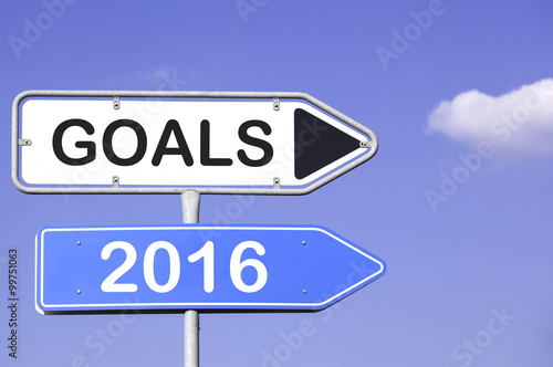 goals 2016