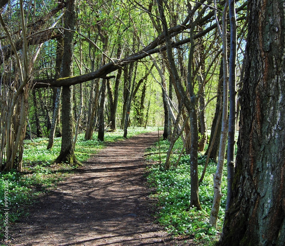 Vår promenad Vår promenad