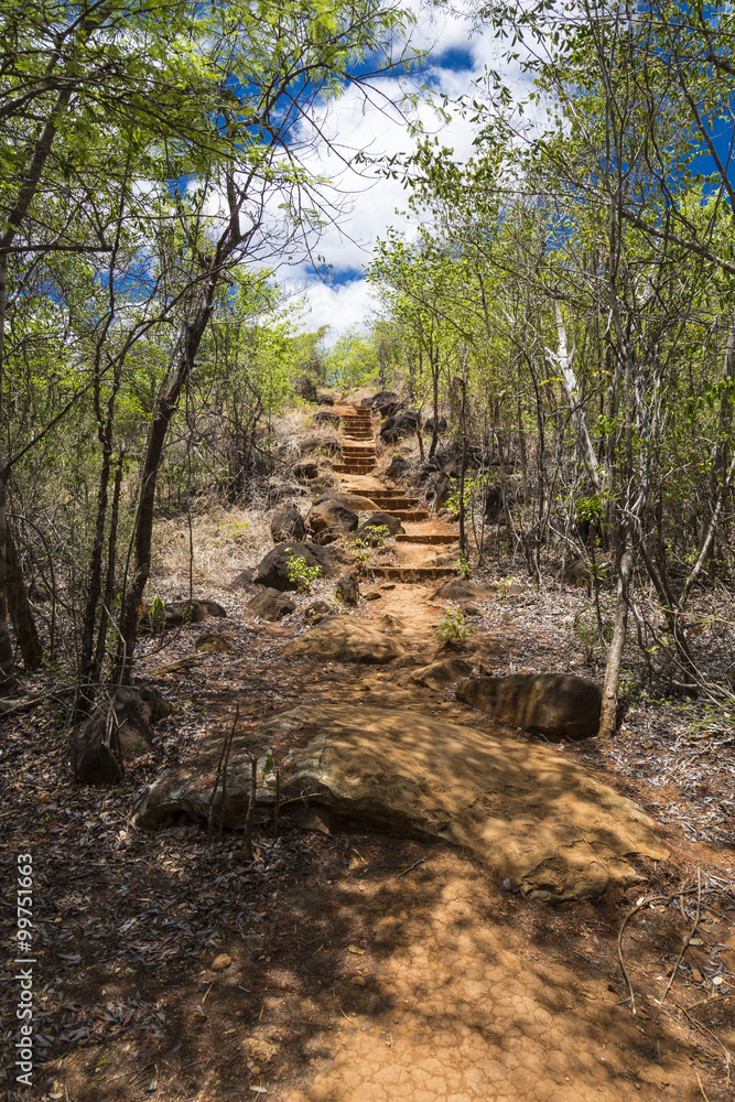 Trekking footway path on a green landscape Trekking footway path on a green landscape